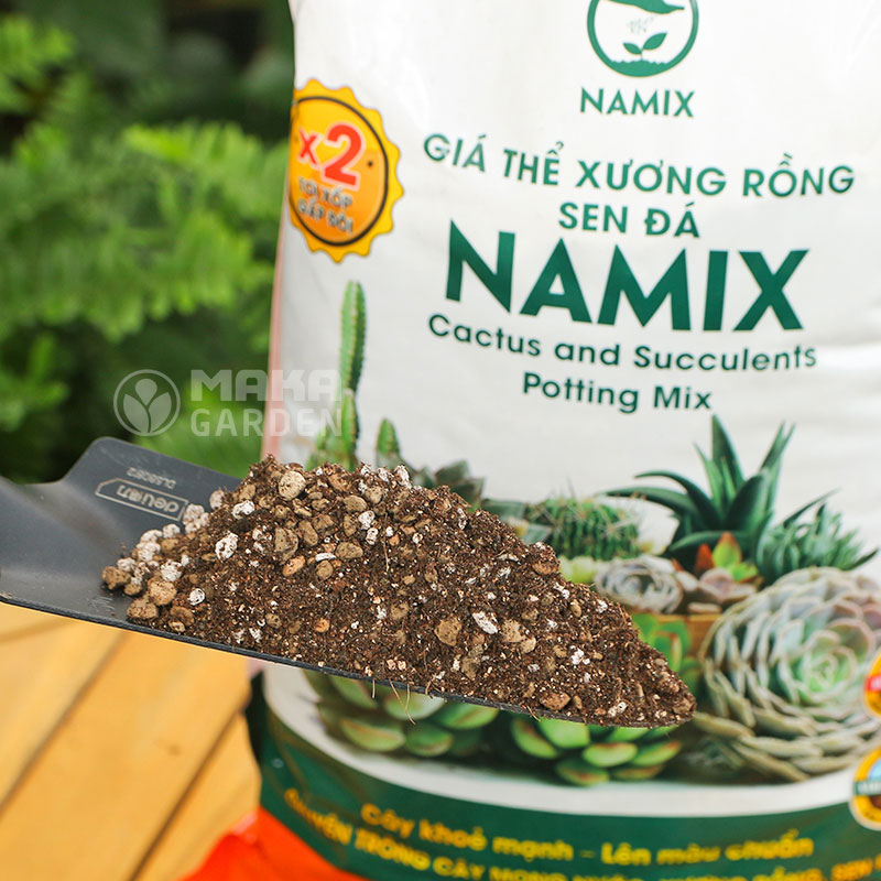 Đất trồng Sen đá và Xương rồng Namix