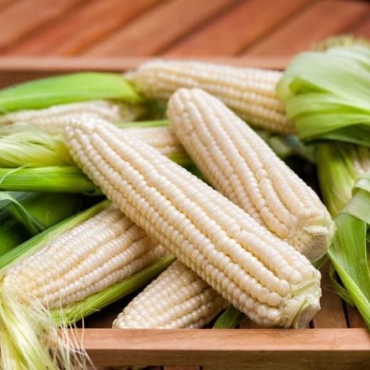 Hạt giống bắp nếp trắng ngon 100gr