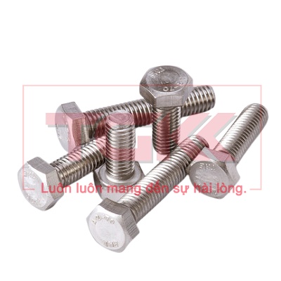 Bulong inox 304 M10