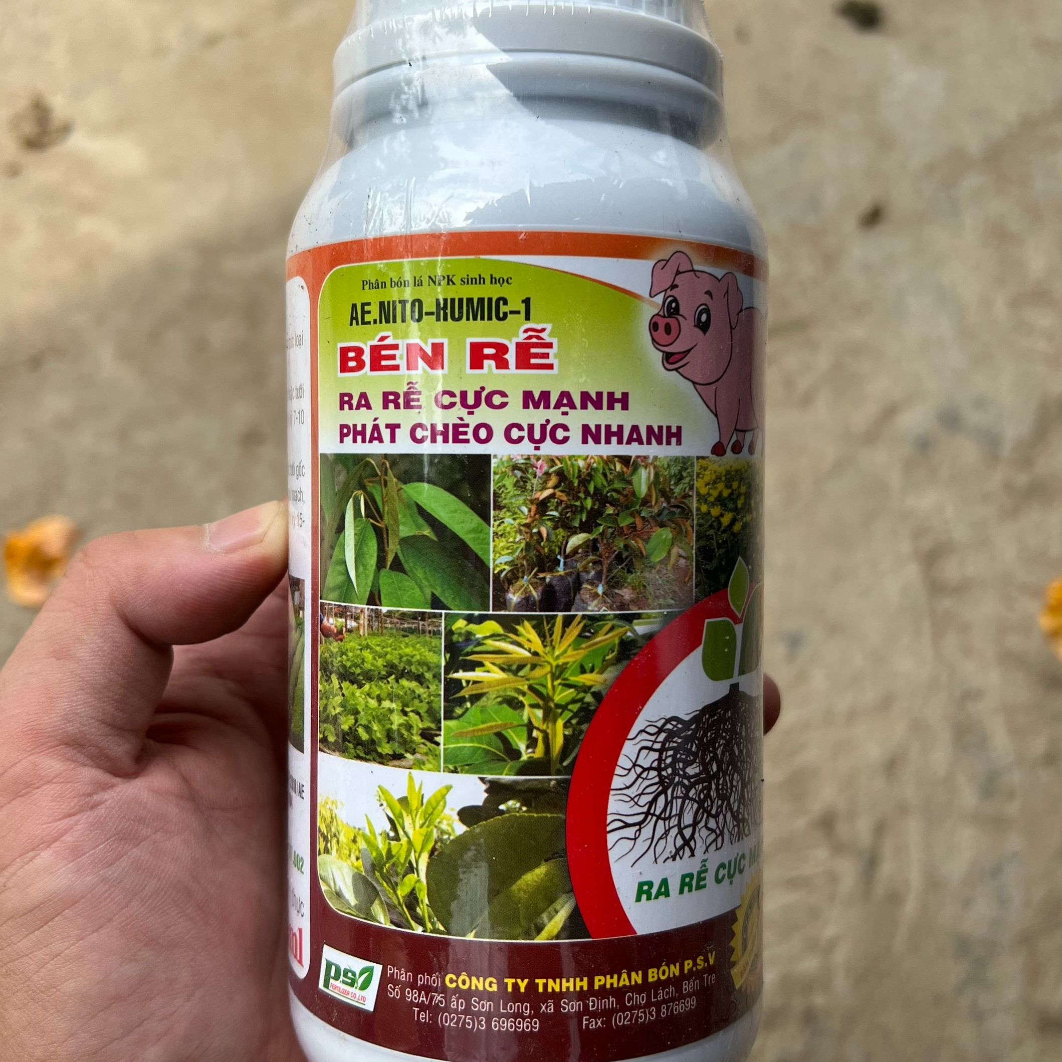 Phân bón bén rễ kích rễ cực mạnh rễ cám nhiều bung chồi nhú đọt xanh cây
