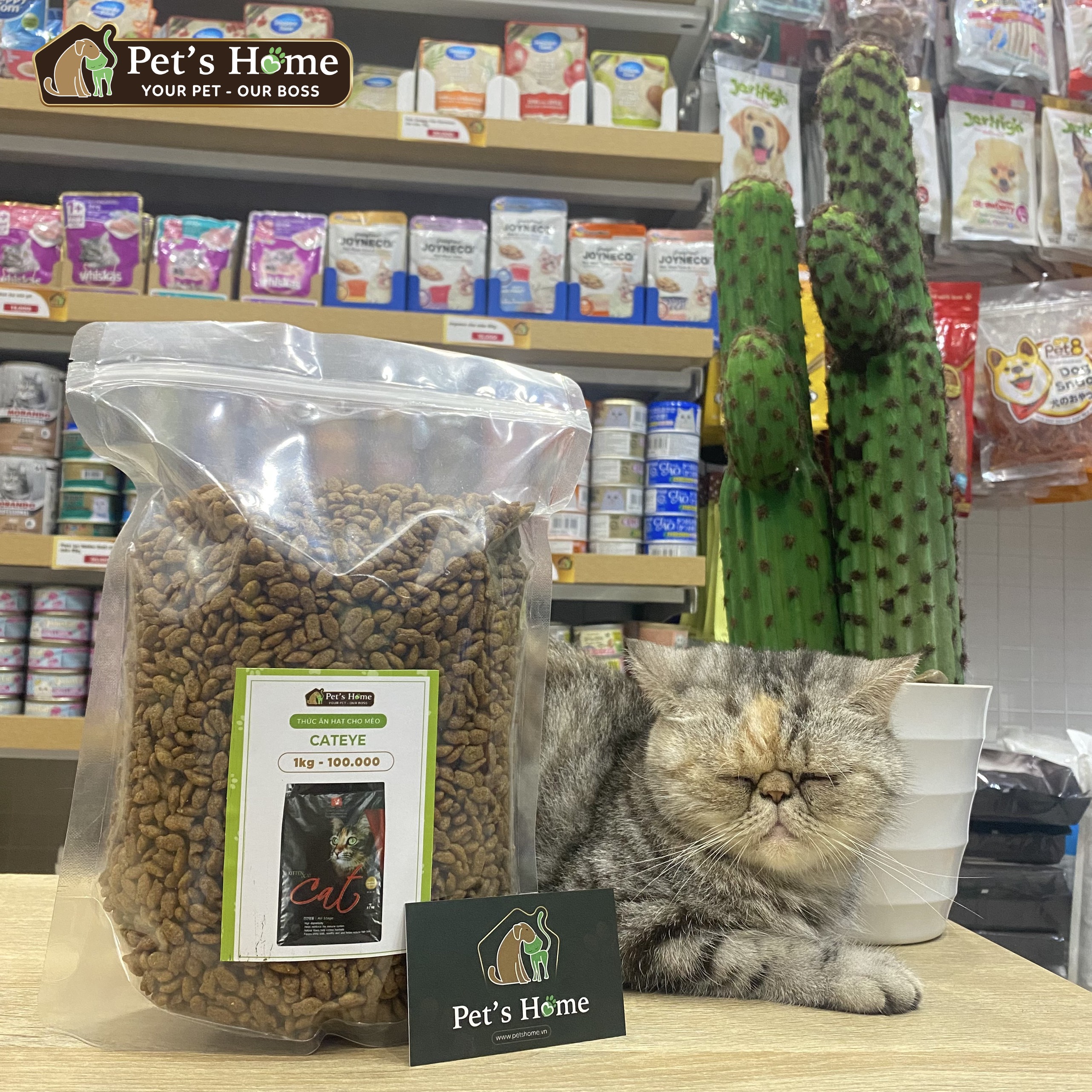 [Gói nguyên 1kg] Hạt CAT'S EYE cho mèo mọi lứa tuổi