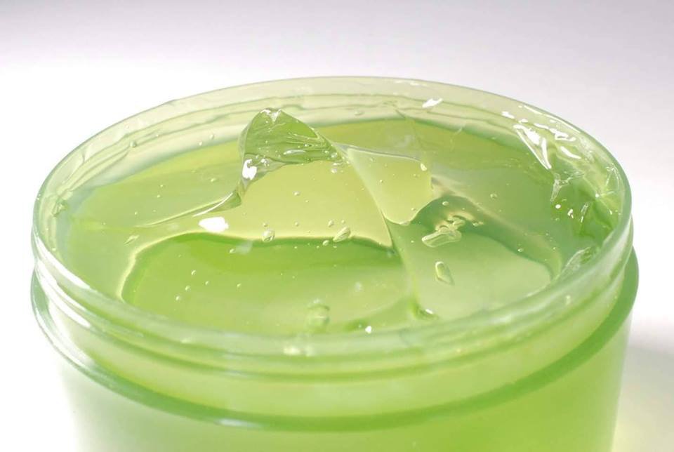 Gel Lô Hội Cấp Ẩm Maycreate 98% - Tipsbeayty