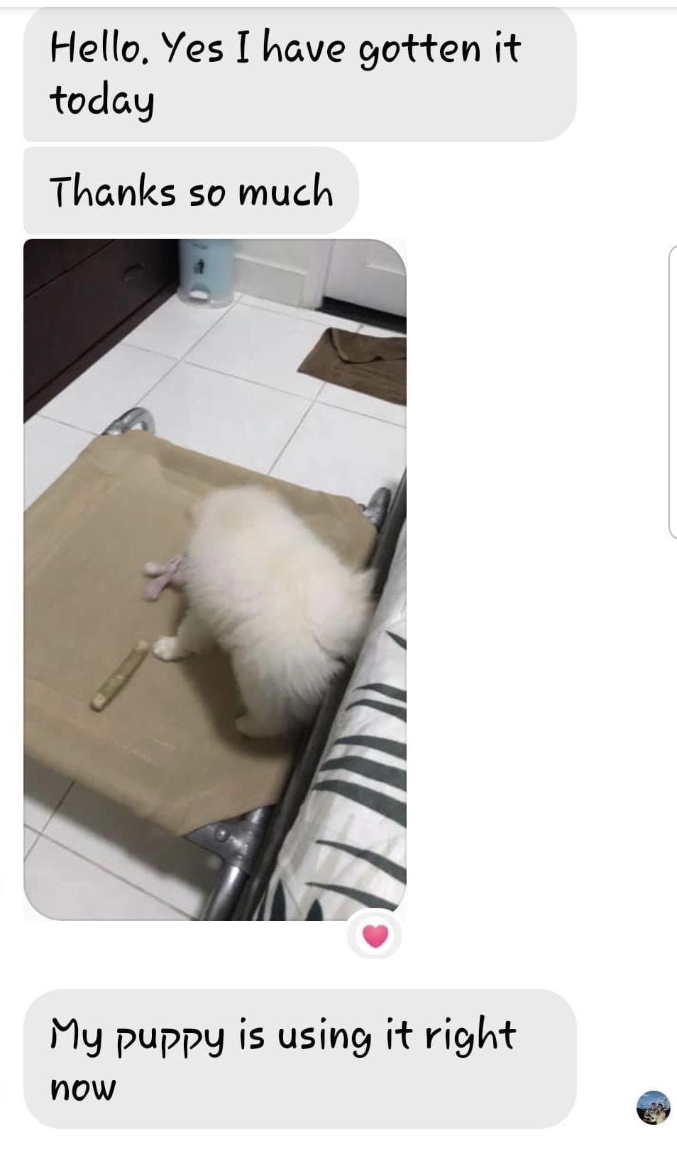 Giường chó, giường thú cưng