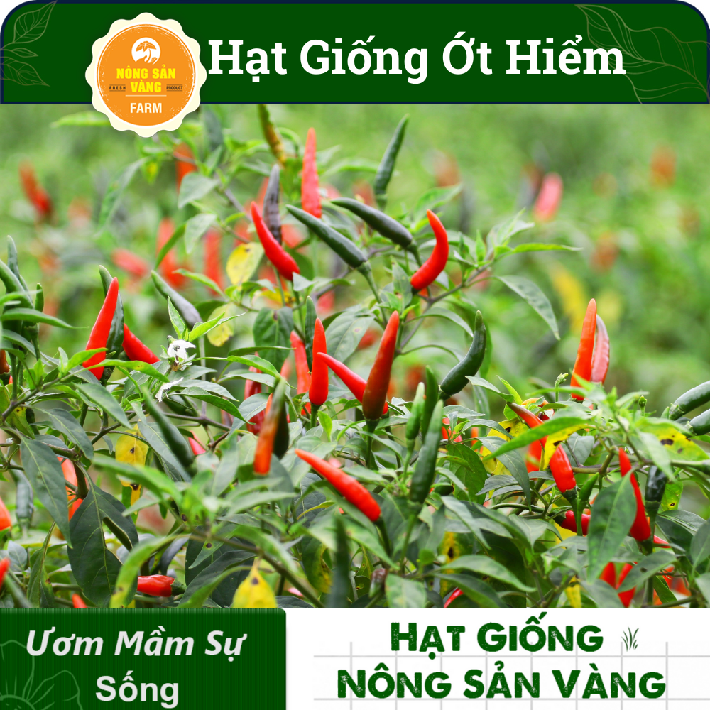 Hạt giống Ớt Hiểm, Dễ Trồng, Sinh Trưởng Và Phát Triển Khỏe, Năng Suất Cao (Gói 30 Hạt) - Nông Sản Vàng