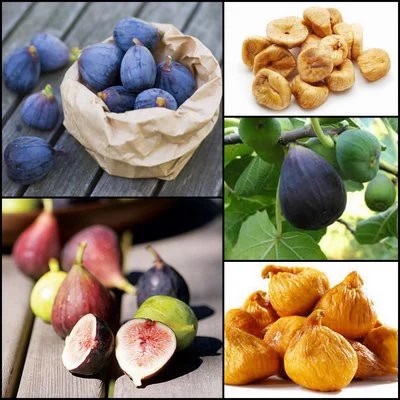 Sung sấy dẻo Thổ Nhĩ Kỳ