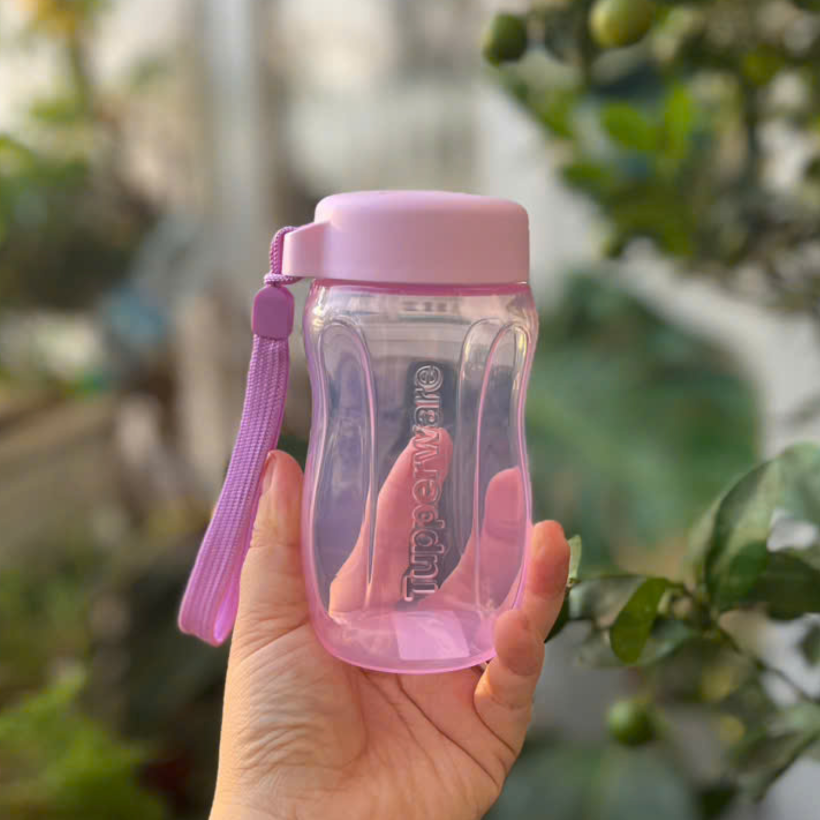 Bình Nước Tupperware Eco Bottle Gen II 310ml