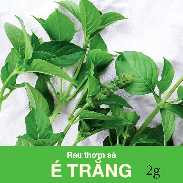 Giống Rau Thơm Sả gói 2gram