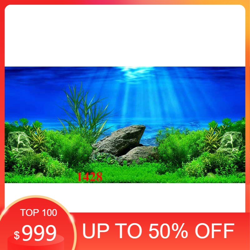 Tranh 3D dán bể cá cảnh hồ thuỷ sinh NHIỀU kích thướt  , lựa chọn / Aquarium Background Poster 3D PVC for fish tank many sizes/HD Aquarium Background Rocky Fish Tank Background