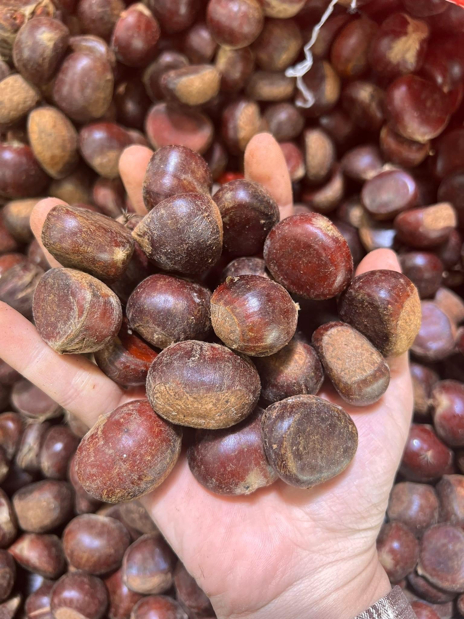 (HÀNG NGON) - 1KG HẠT DẺ sống - cơm vàng bở thơm ngon