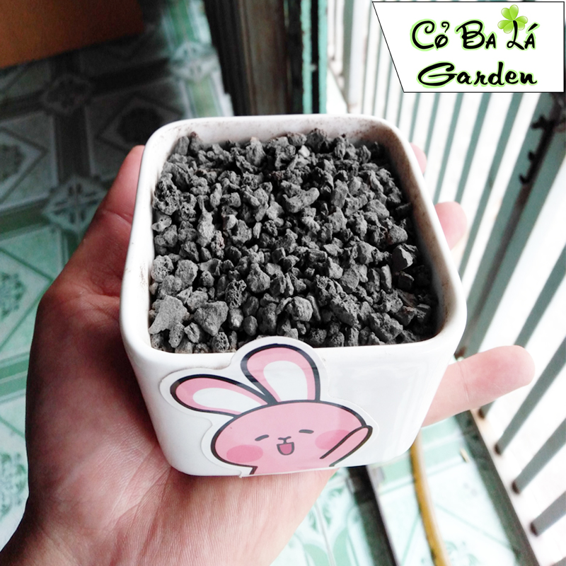 Đá Lava Đỏ,Đen , túi 1-kg Đá nham thạch đỏ.đen