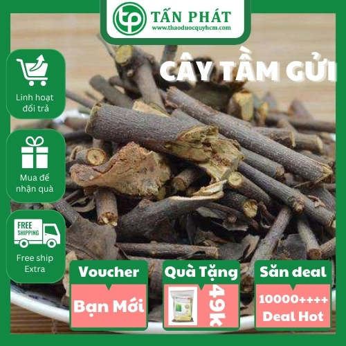[Hàng mới về] Tầm gửi sấy khô 500g - Thảo Dược Tấn Phát - Hỗ trợ cải thiện sức khoẻ xương khớp