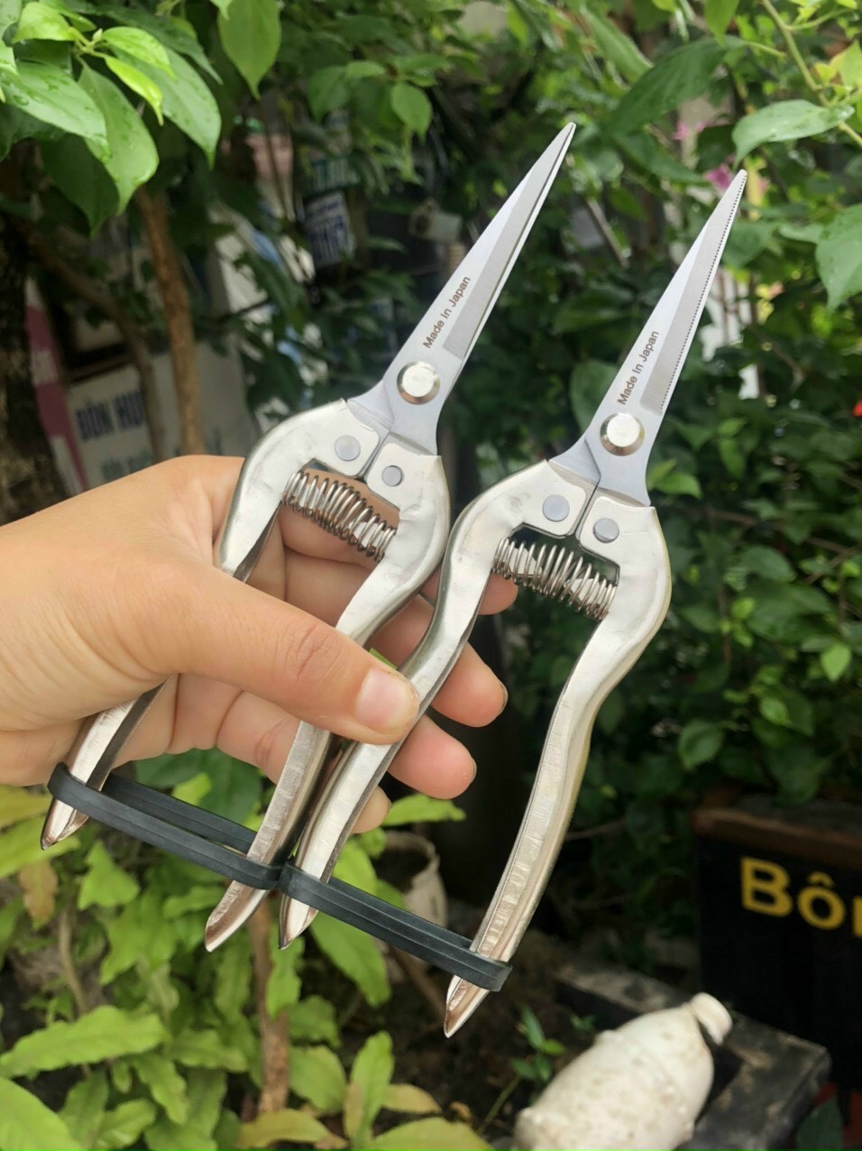 Combo cưa kéo cắt tỉa cây cảnh