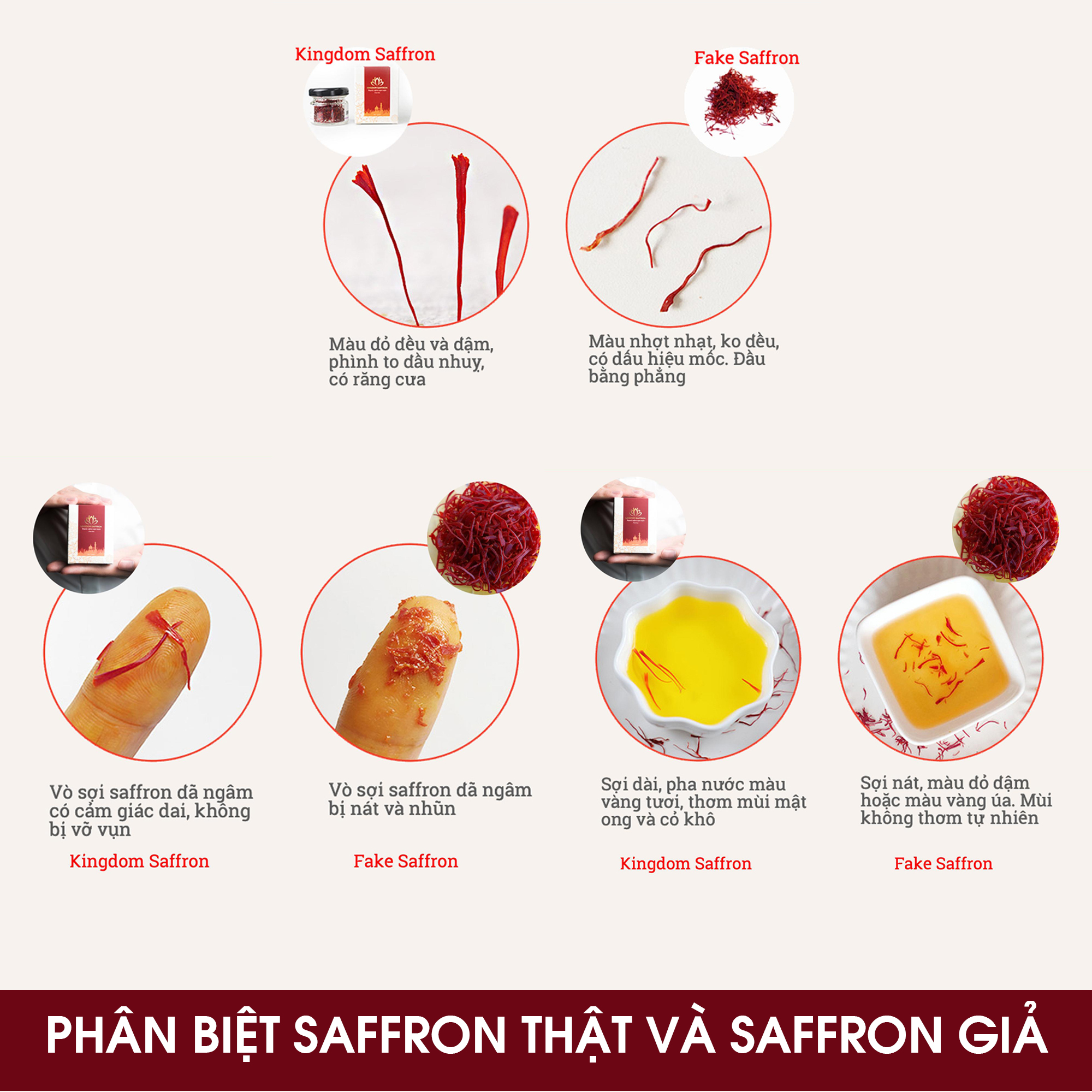 Saffron Kingdom Herb Iranian saffron sample box 0.1 grams