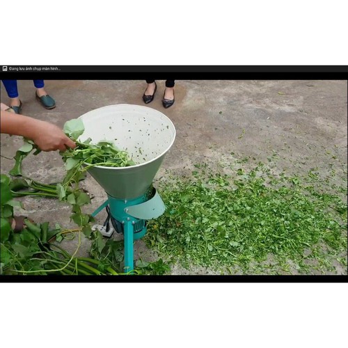 Máy băm lục bình tại Bến Tre, máy băm rau bèo