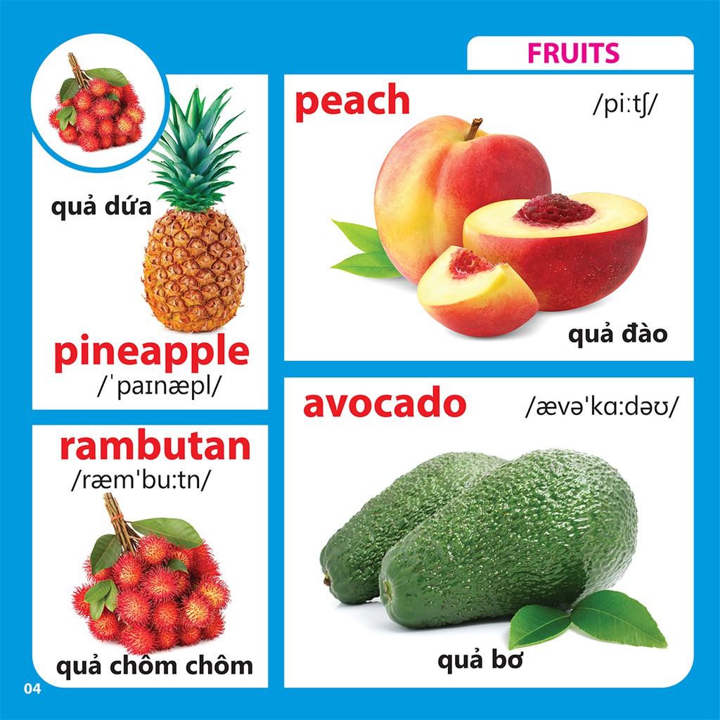Bách Khoa Toàn Thư Cho Bé - Rau-Củ-Quả (mềm)46k