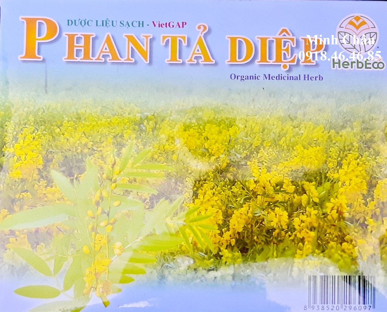 [HCM]Trà Phan tả diệp hút chân không