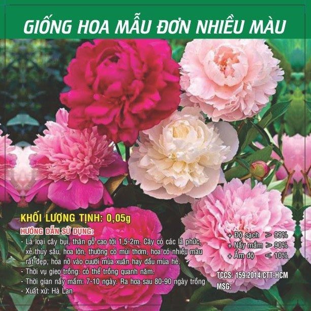 Hạt giống Mẫu Đơn nhiều màu TN