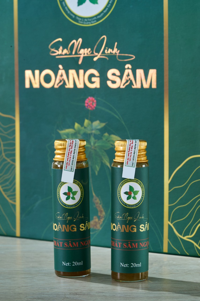 CHIẾT XUẤT SÂM NGỌC LINH