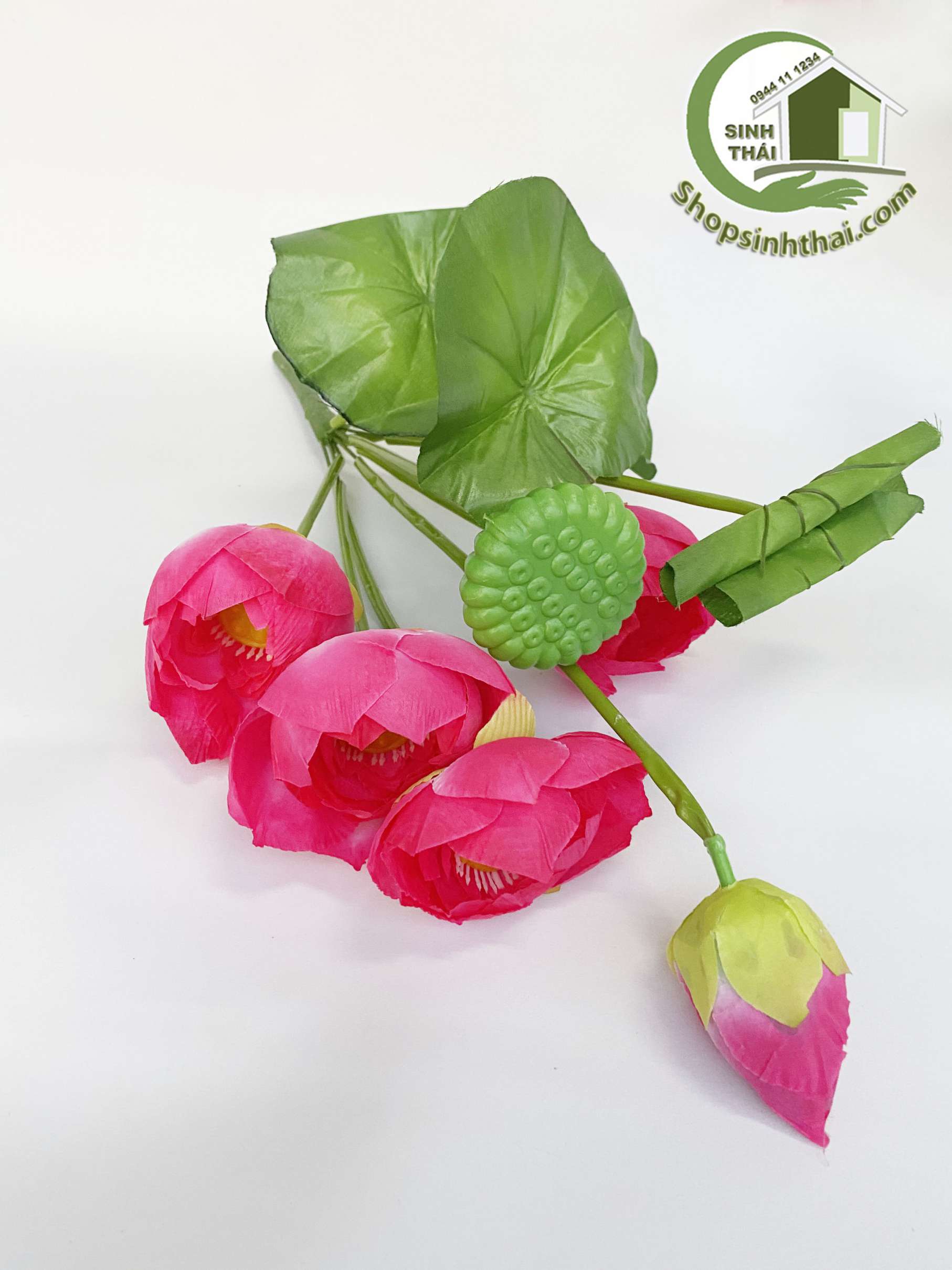 Hoa sen giả - Bụi sen lá cuốn lớn
