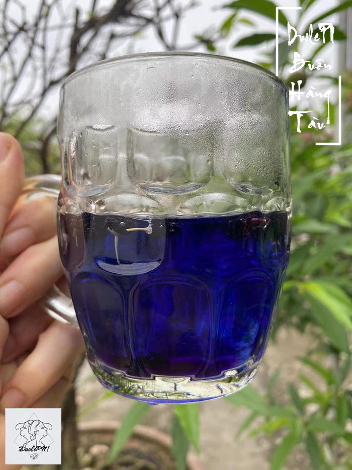 Hắc Kỷ Tử Tân Cương
