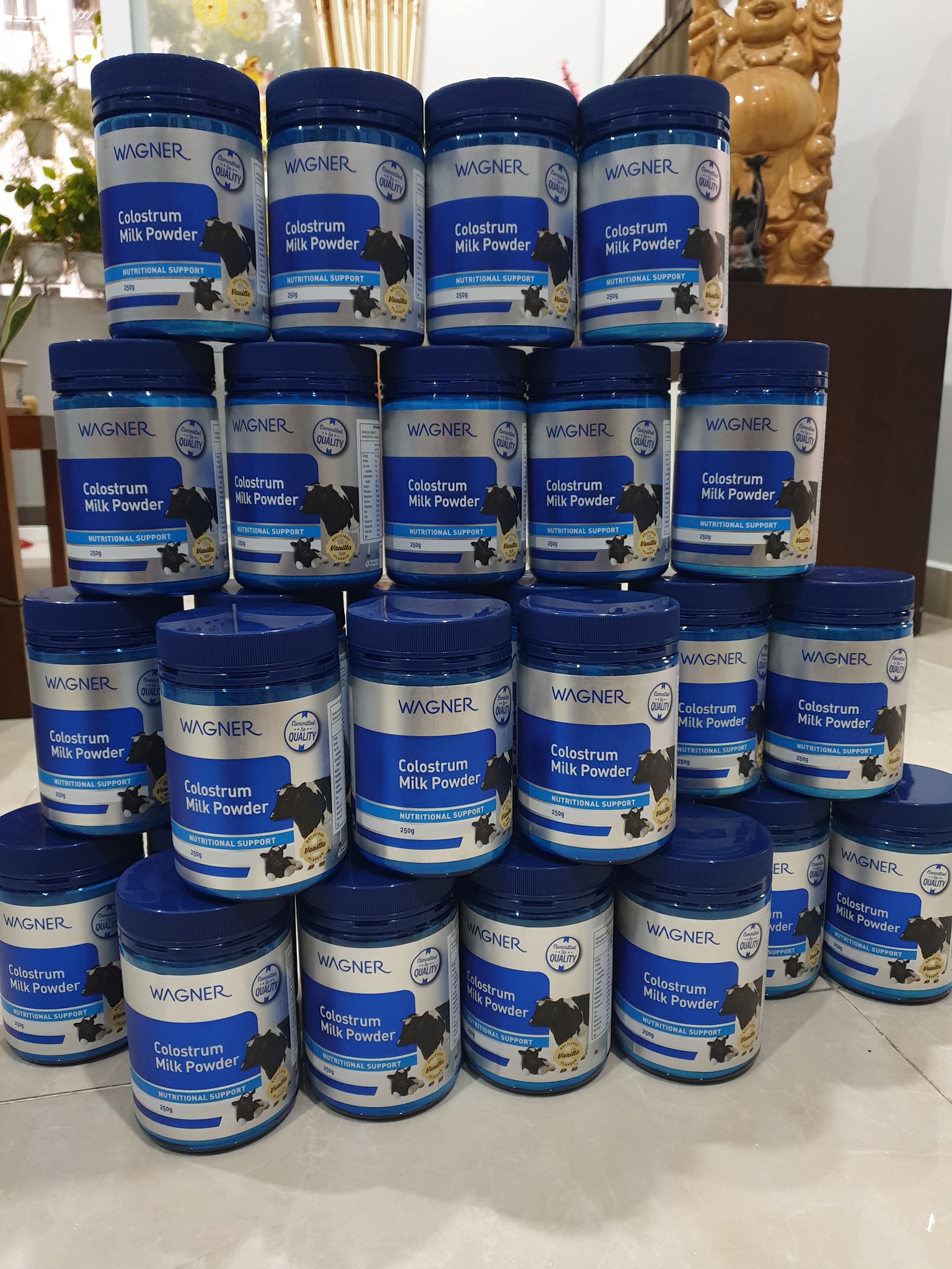 Wagner Colostrum Milk Powder 250gr