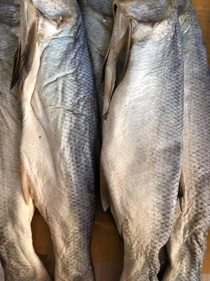 1kg mắm cá chét thịt ngon ngọt mềm không bỡ, cá lớn từ 800-2kg, Khô Thoại Sơn