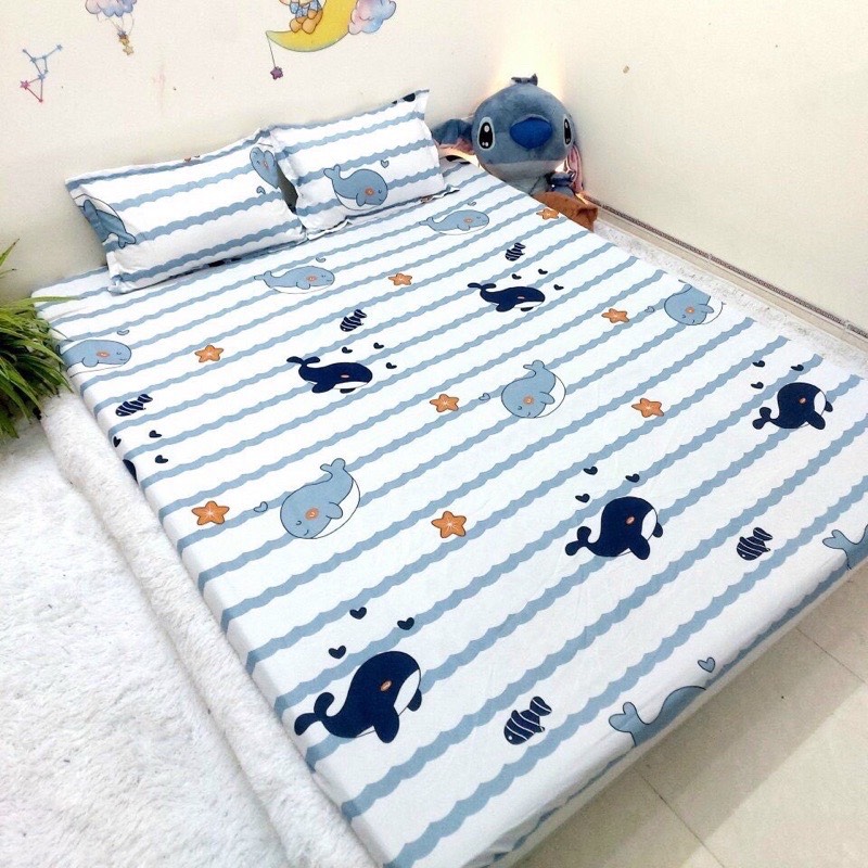 Ga trải giường m6/m8 drap giường poly nhiều mẫu lựa chọn