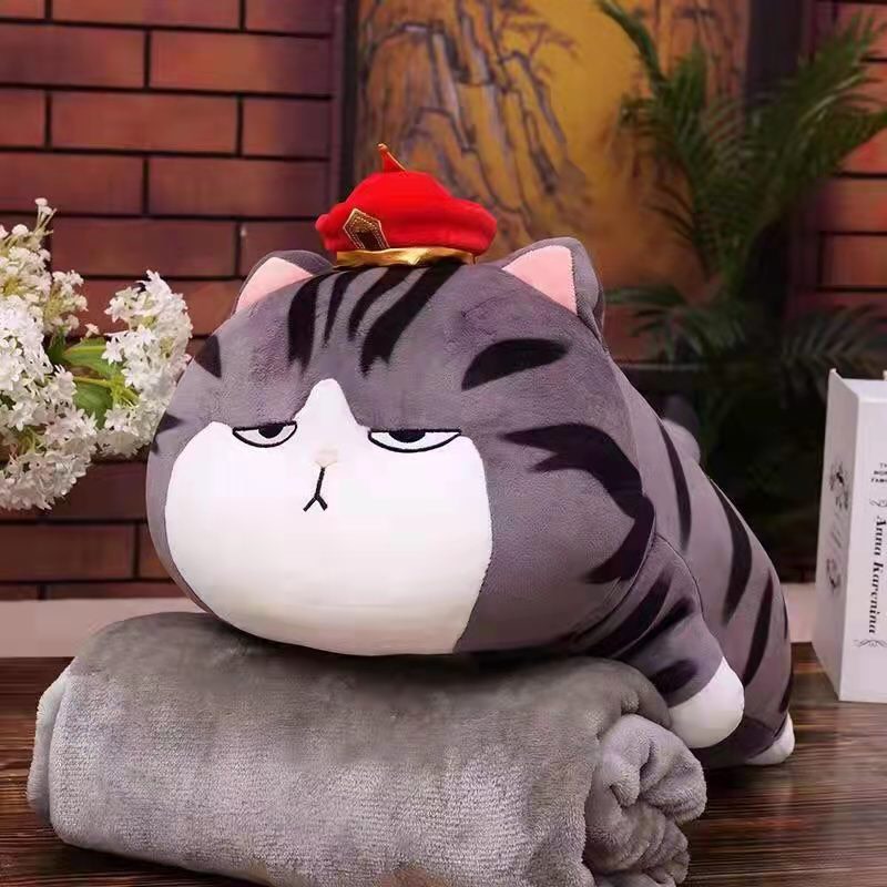 Bộ chăn gối văn phòng thú dài FHC666