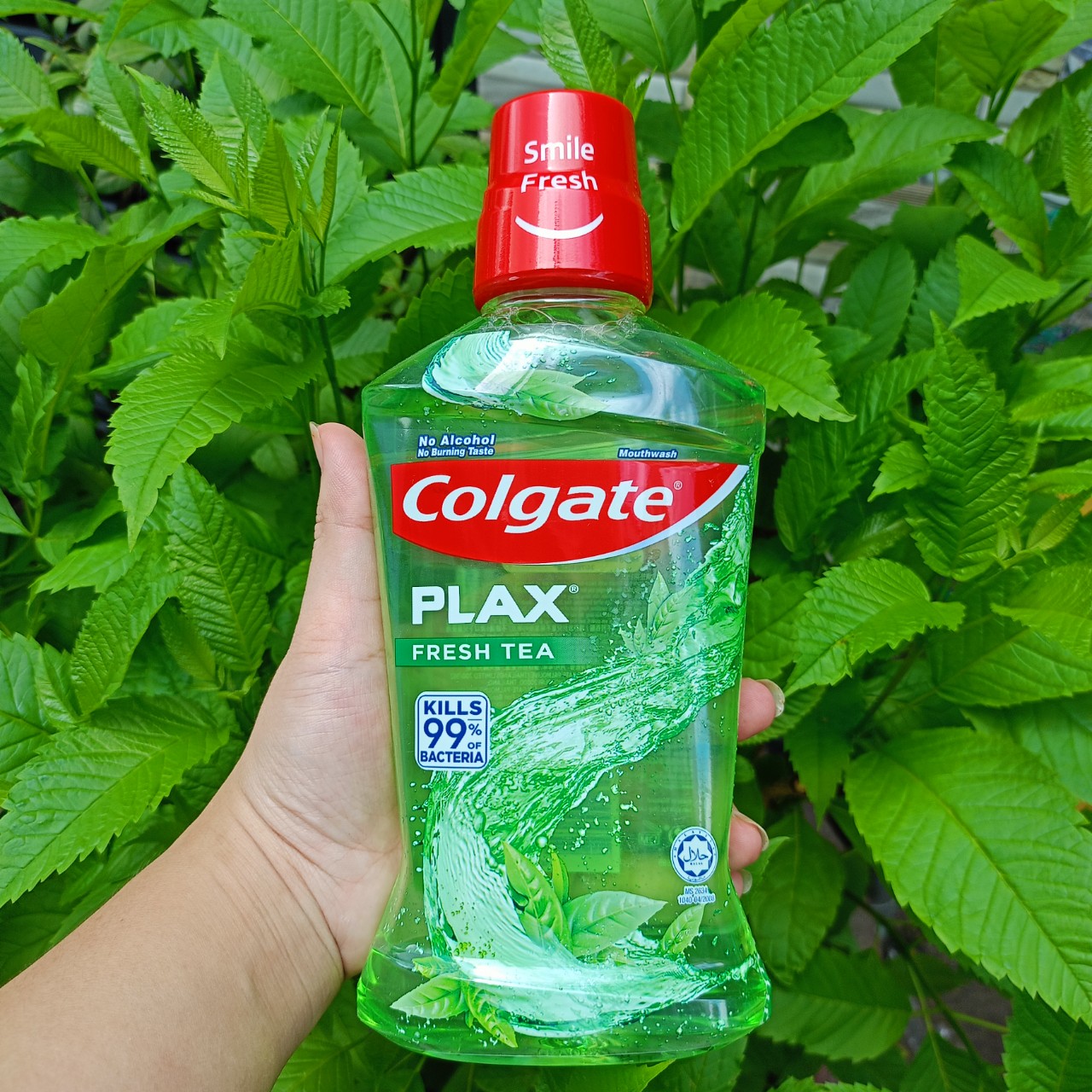 (500ml/750ml ) Nước súc miệng Colgate Plax / Maxfresh bạc hà/ trà xanh/ Than hoạt tính