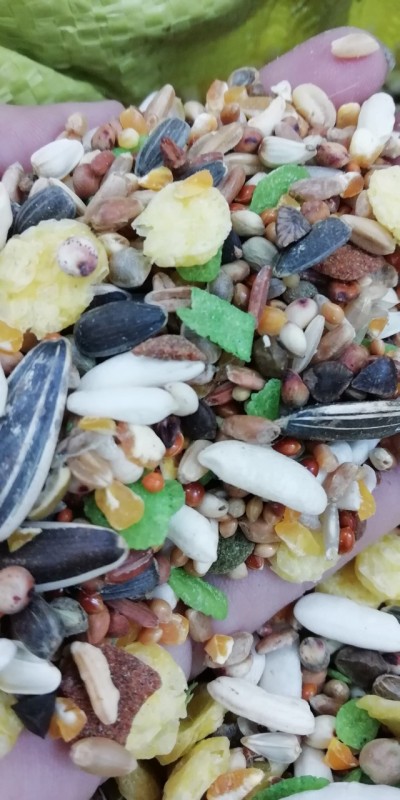 Gói thức ăn hamster tiết kiệm 1 kg
