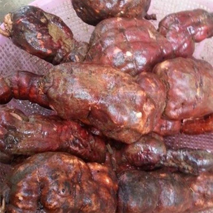 hà thủ ô đỏ khô 1kg