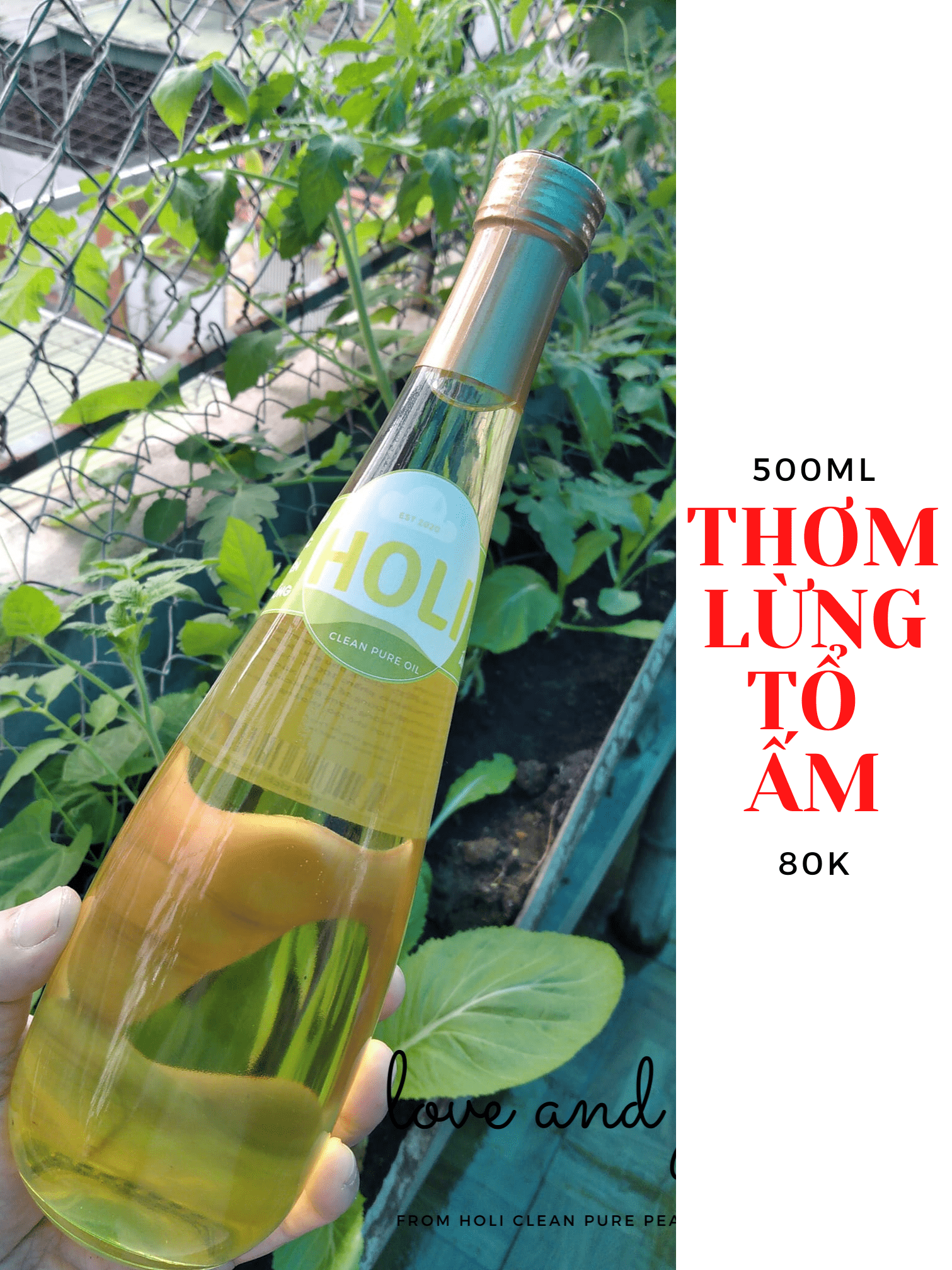 Dầu lạc nguyên chất ép lạnh Holi 500ml
