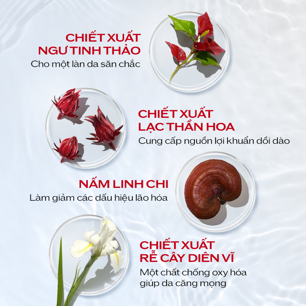 Tinh chất (serum) dưỡng da Shiseido Ultimune Power Infusing Concentrate 75ml