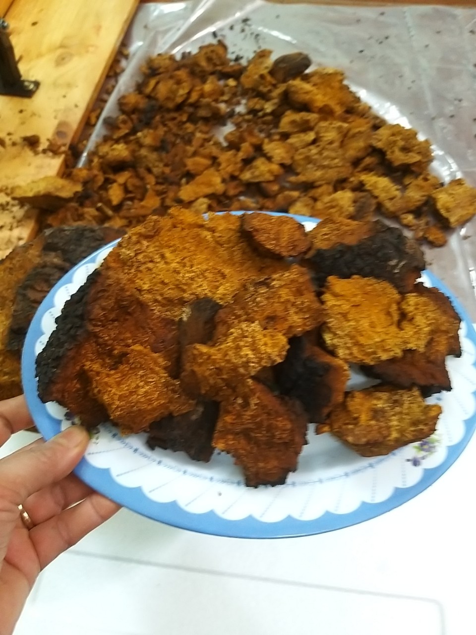Nấm chaga Nga sibiri  Gói 200 gam