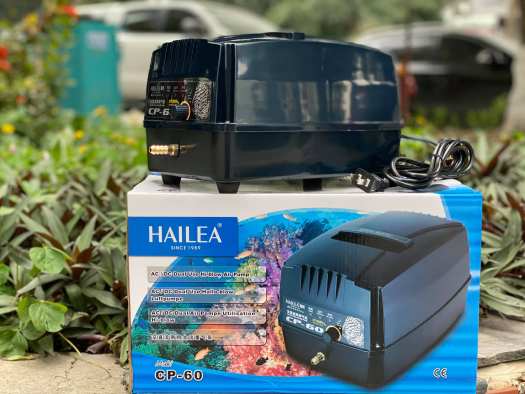 Máy sủi tích điện hồ Koi Hailea CP 60