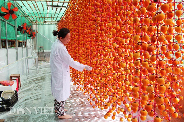 Hồng treo gió đặc sản Đà Lạt (loại đặc biệt-500g)