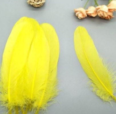 2-5-10 lông vũ cứng 15-20cm nhiều màu