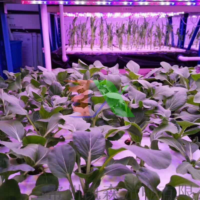 Led grow light MDA225A