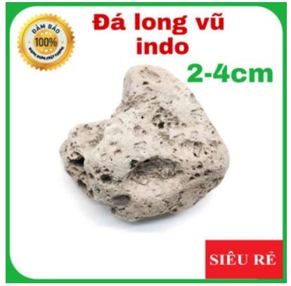 Vật liệu lọc_Nham Thạch Indo (đá lông vũ) size 2-4 cm 500gr