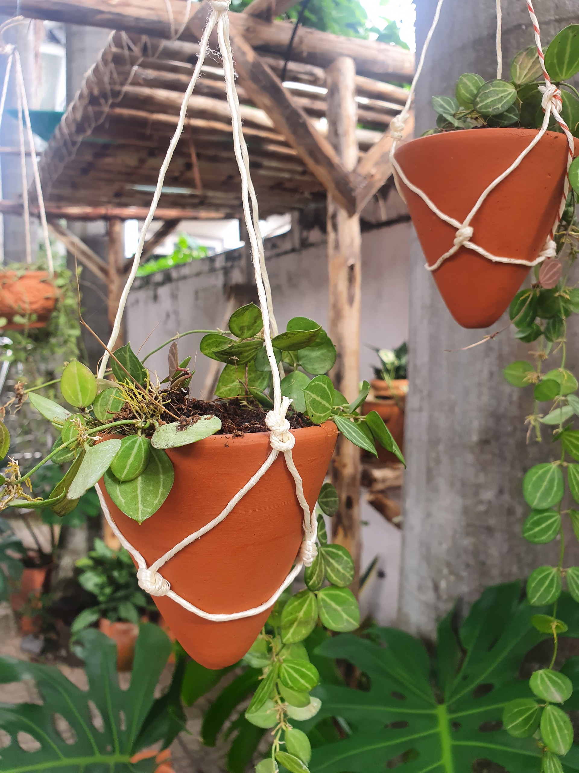 Combo 3 Chậu Treo Decor Gốm Đất Nung hình Bánh Ú ( Chóp Nón ) - Gốm Sứ Sân Vườn