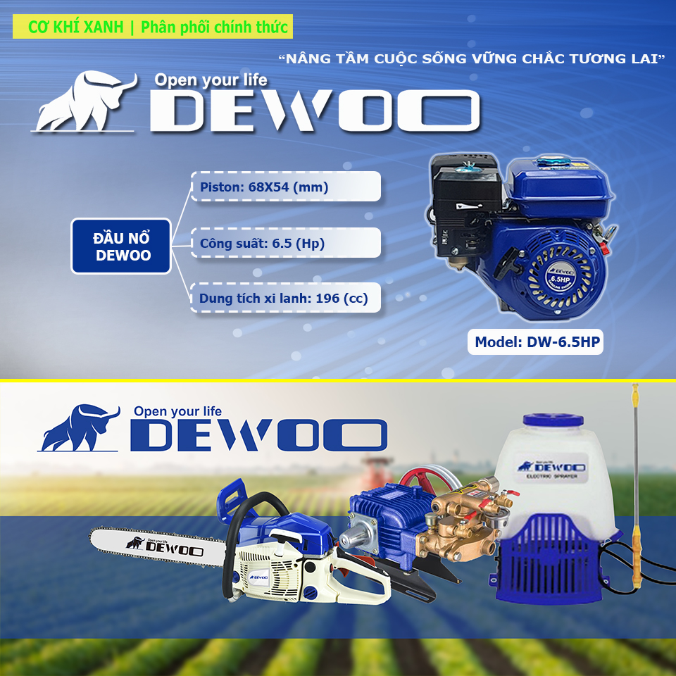 Máy nổ chạy xăng - Động cơ 6.5HP Dewoo Model DW-6.5Hp