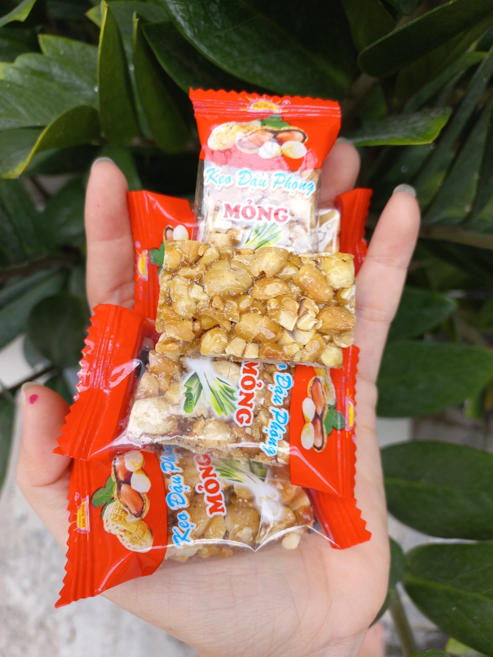 1kg Kẹo đậu phộng loại đặc biệt thơm ngon - Bánh kẹo tết Phú Xuân - Tết