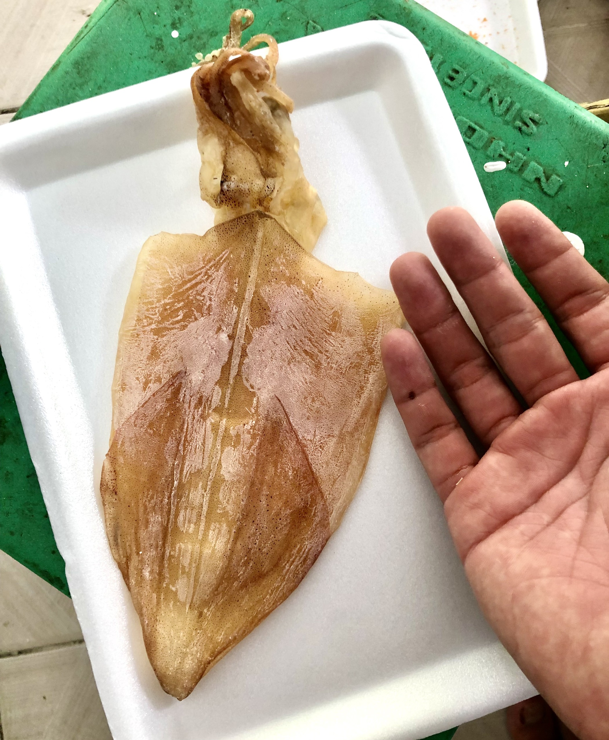 1kg Mực Khô Khánh Hòa loại 25 con