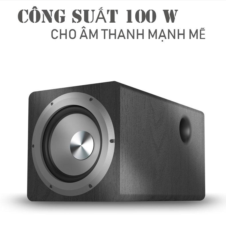 loa siêu trầm subwoofer 100W