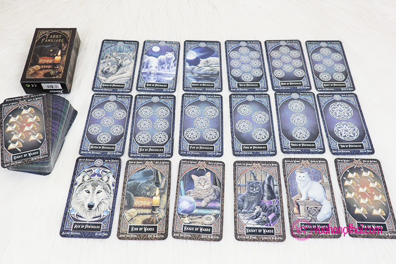 [HCM]Bộ bài Bói Tarot Familiars Cao Cấp