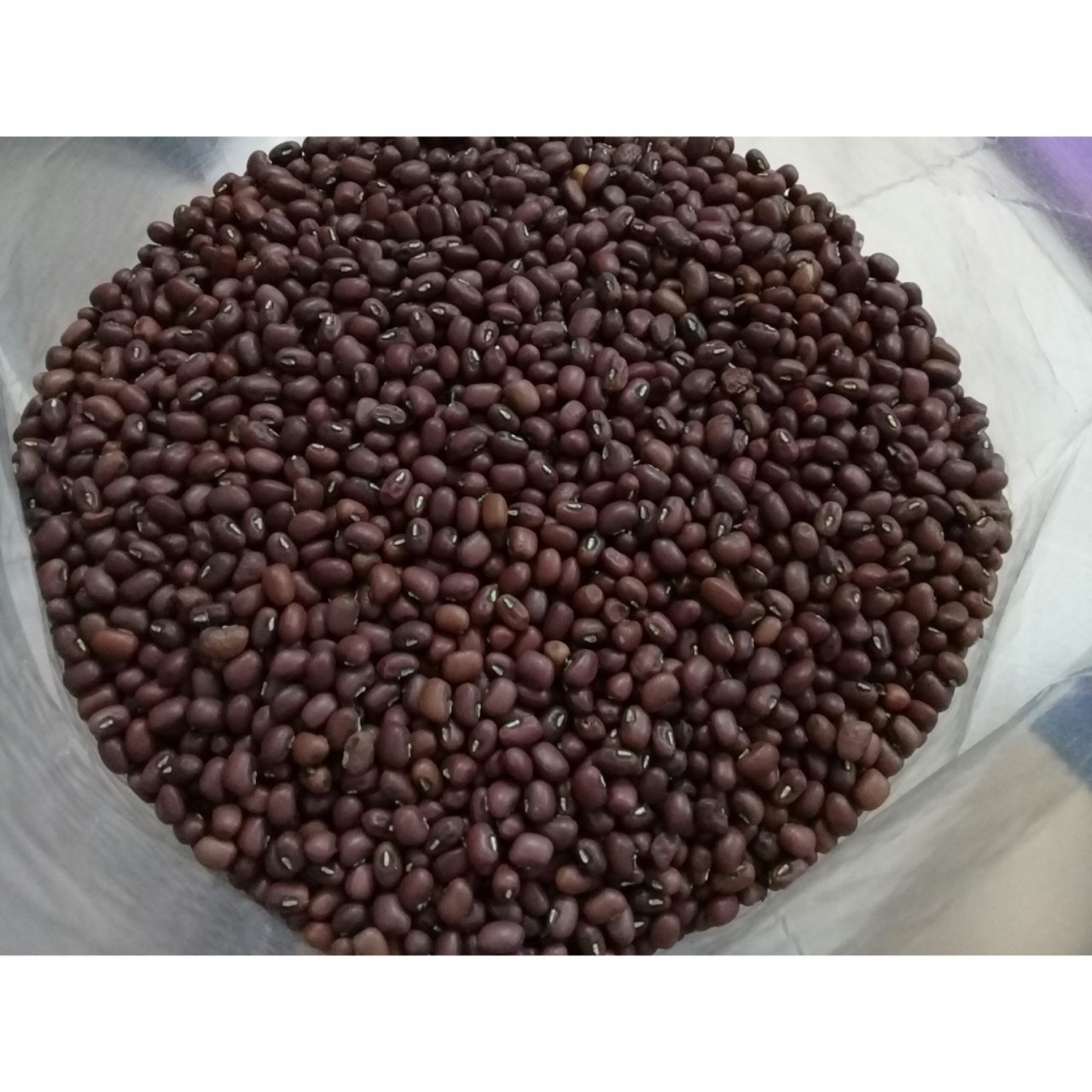 Trà Đậu Đỏ - GIẢM CÂN THẦN TỐC - 500 g