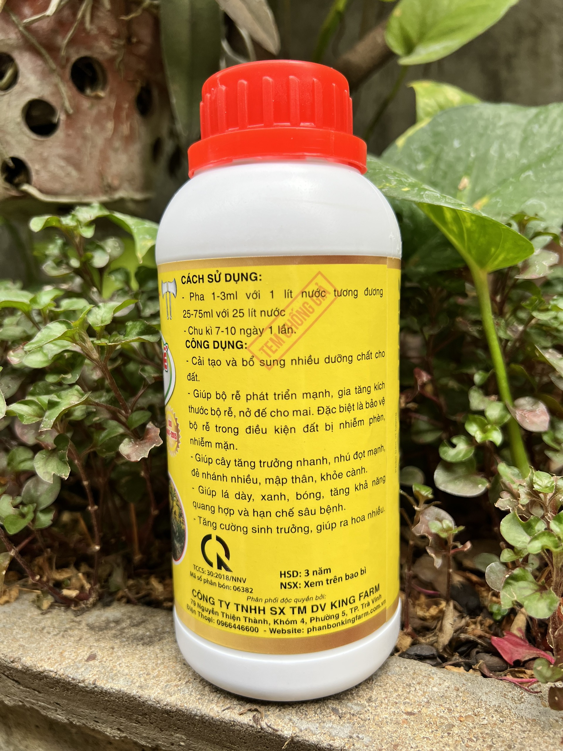 Phân Bón Mập Thân Nở Đế Chuyên Mai Vàng Max Root Chai 0,5 Lít