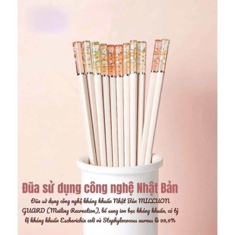Vỉ 5 Đôi Đũa Nhựa Kháng Khuẩn Nhật Bản, Đũa Gắp, Đũa Ăn Cơm Dày Dặn, Mẫu Mã Đẹp, An Toàn | MTA-MART