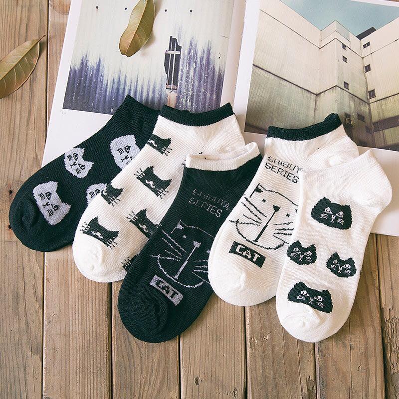 Vớ tất mèo đen trắng ( giao hàng ngẫu nhiên )