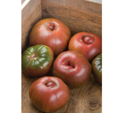 Hạt Giống Cà Chua Black Krim (Organic Tomato Seed)